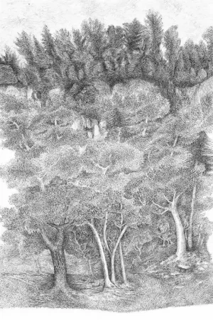 Must-Have Papier peint panoramique J. M. P. 1