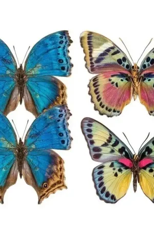 Expédié Aujourd'hui Papier peint panoramique Butterflies Mix 8
