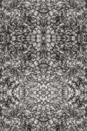 Papier peint panoramique A. D. 16 Offre Du Jour