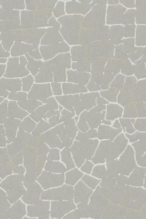 Authentique Papier peint Fissure - Enso