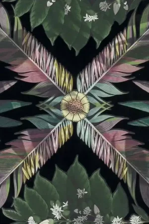 Marque Papier peint Feather Park