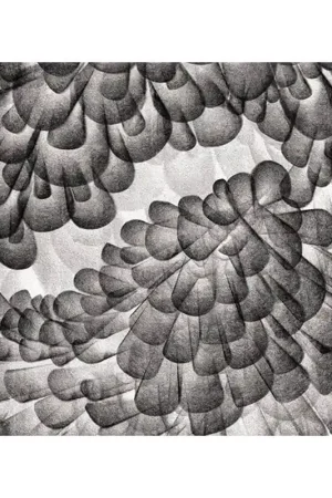 Papier peint panoramique A. D. 5 Top Vente