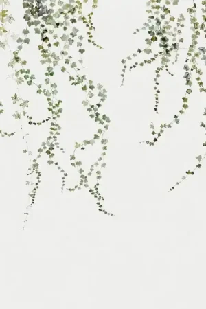 Papier peint panoramique Aralia Top Vente