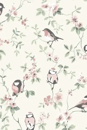 Papier peint Falsterbo Birds Commander Maintenant