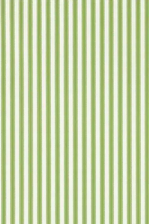 Papier peint Pinetum Stripe Acheter Direct