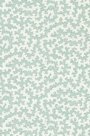 Certifié Papier peint Truffle