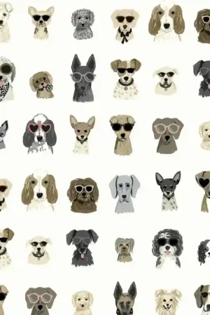 Papier peint adhésif Dog Days Offre Exclusive