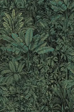 Papier peint Sauvage Haute Qualité