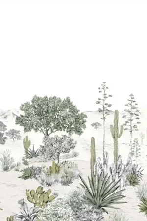 Remise Papier peint panoramique Succulentes