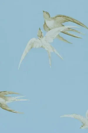 Meilleur Choix Papier peint Swallows