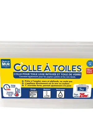 Super Prix Colle à toiles 5KG