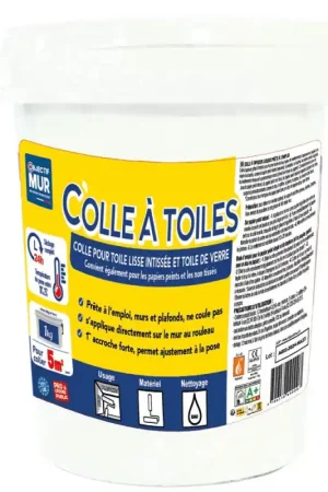 Remise Colle à toiles 1KG