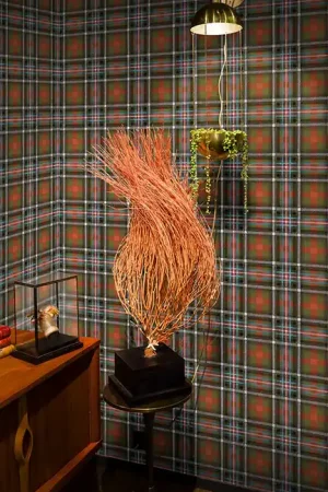 Papier peint tartan - Queen of Punk - Objet de Curiosité Réduction