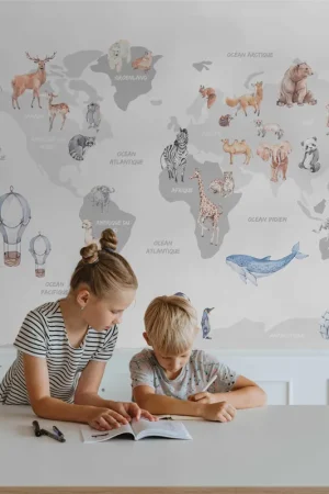 Bon Plan Nº128 Papier peint - Carte du Monde