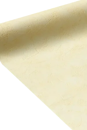 Papier peint intisséRavenne1000 x 53 cm Acheter Direct