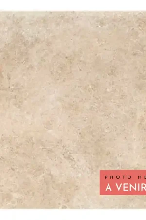 Carrelage Alpi PIETRA BEIGE 20MM 60X60 cm - Beige Mat Prix Réduit