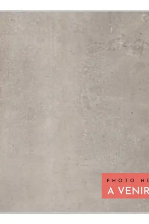 Carrelage Alpi PIETRA ARGENTO 20MM 60X60 cm - Gris Mat Prix Bas