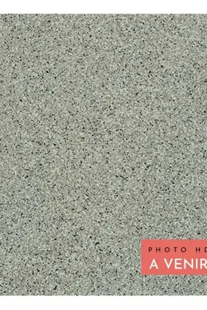 Carrelage Sol & Mur GRANITO 1 ARKANSAS 20X20 cm - Gris Mat Commander Maintenant