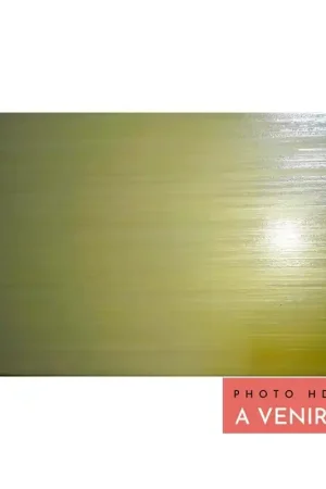 Faïence Murale STROKING PISTACHIO 25X75 cm - Vert Satiné Prix Choc