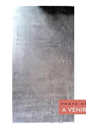 Prix Réduit Faïence Murale Alpe Anthracite 30X60 cm - Gris Mat