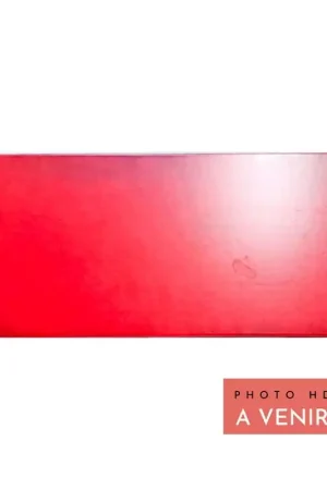 Faïence Murale - AMBIANT AMARANTE 20X50cm - Rouge Mat Authentique