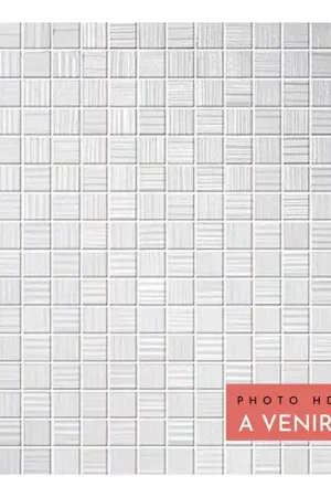 Jusqu'à Épuisement Des Stocks Mosaïque CUPIDO MODERN BIAN 30,5X30,5 cm - Blanc mat