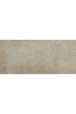 Livraison Express Faïence murale MODERNE TAUPE 20X60 cm